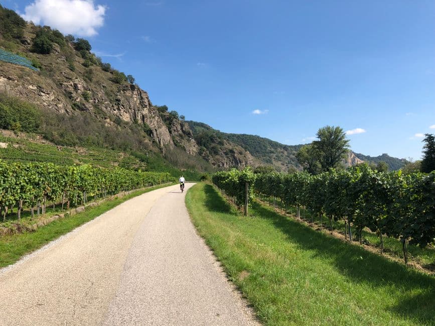 Cycling the Piste du Vignoble: Route, Difficulty & Stops